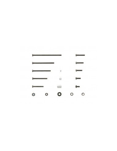 Set de tornillos negros para Mini 4WD